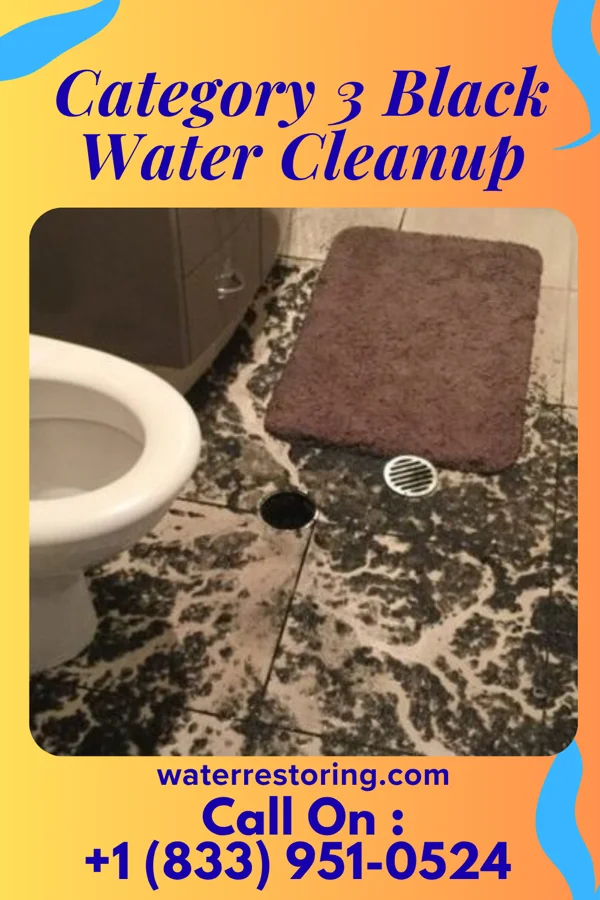 Category 3 Black Water Cleanup in Vega, TX